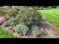 Fall Trial Garden Tour | Garden Crossings