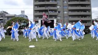 疾風乱舞さん（R）／湘南よさこい祭り2011