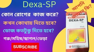 Dexa SP 50ml।  গরুর নিউমোনিয়া, ক্ষুরা রোগ, ওলানফোলা রোগের চিকিৎসা ইন্জেকশন।