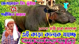 এই কাড়া কালকে যাচ্ছে l আঁকরো আসর কাঁপাতে যাচ্ছে দেখুন ১ নম্বর কাড়ার জোড়া ll Ankro kara larai 2024