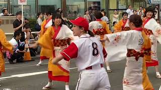 優勝🏆 松山野球拳おどり2024年【いよてつグループ連】企業連の部　千舟町会場8月9日