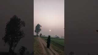 বিকেলবেলা গ্রামের সবজি বাগানেএকটু ঘুরাঘুরি,##views #views #