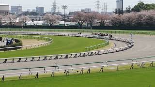 2024/4/13 中山競馬3R女性アナウンサー場内実況 ラジオNIKKEI藤原菜々花さん（勝馬11番：キングクレオール　今週で引退の勝浦正樹騎手）