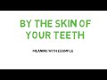 Idiom : BY THE SKIN OF YOUR TEETH