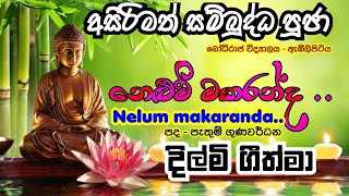 හතේ  දරුවන් ගේ අසිරිමත් සම්බුදු පූජා - | Nelum Makaranda - Dilmi Geethma| එක පහනක් හෝ දල්වමු.