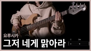 49. 요루시카 - 그저 네게 맑아라(ただ君に晴れ) (Bass Cover) 【★★★☆☆】 | 베이스 악보[TAB]