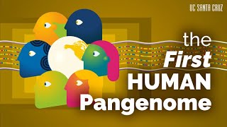 The First Human Pangenome Released