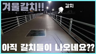 갈치시즌..다시 시작??![역지그헤드만들기.액션]