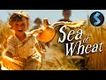 Sea Of Wheat | Full Family Adventure Movie | Ornella Muti | Alessandro Paci | Sebastiano Somma