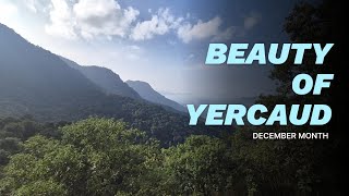 Beauty of Yercaud: Nature's Paradise