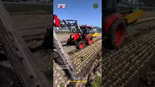 Mulch Sheet Removing Tractor Attachment