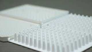 White pcr plate