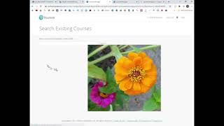 pairing a Canvas course with myLab and Mastering #darrelldbarnes #darrellbarnes #brotherbarnes