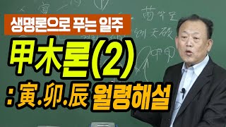 갑목론 甲木론(2): 寅.卯.辰 월령해설 : 일주론 - 한상정 선생님 [대통인.com]