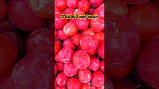 తాజా ఆల్ బకరా #subscribe #shortsfeed #ytshorts #health #fruit #healthylifestyle