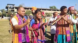 रजे फालि दानाय मोसानाय|Roje Pali Danai Mwsanai|सालबारि जिला दुलाराय बर' हारिमु आफाद|Pramod Narzary|