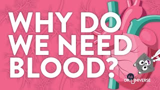 Why Do We Need Blood?