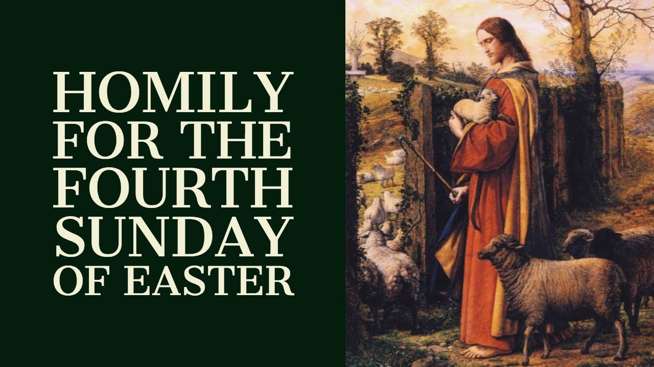 Homily For The Fourth Sunday Of Easter (Year B) - YouTube