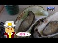 ドライブに最適！「伊良湖岬」花に絶景に食べて良し。今年も行って来ましたので観光スポットをご紹介します。