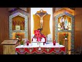 catholic mass today daily holy mass in punjabi rev. fr. william james sahota 25 feb. 2025