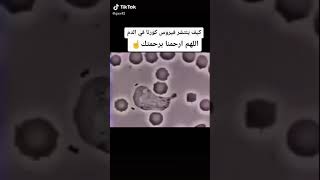 سبحان الله كيف ينتشر فيروس كورونا