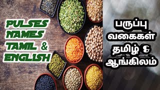 PULSES NAMES in both TAMIL \u0026 ENGLISH | பருப்பு வகைகள் தமிழ் \u0026 ஆங்கிலம்