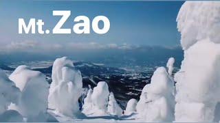 【山形】快晴！絶景！蔵王で樹氷とスキー/Skiing at Mt.Zao/ជិះស្គី