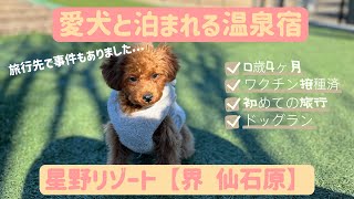 【愛犬と泊まれる宿】星野リゾート 界 に泊まってきました♨️