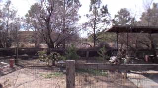 152 Desert Willow Rd, Corrales, New Mexico 87048 - MLS# 808723