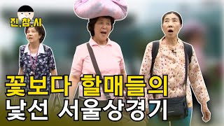 귀여운 꽃보다 할매들의 서울 나들이! 귀여운 할머니 3총사가 서울에 온 까닭은!? ｜진참시