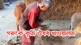 আজকে গরুকে কৃমির ঔষধ খাওয়ালাম 🐄🐂