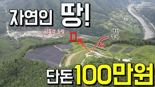 단돈 100만원~자연인 땅~  더이상 이런 가격은 없을듯~경북 봉화 공매매물 -찾경공-