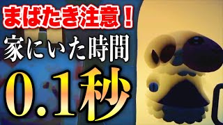 【あつ森】家に帰って0.1秒で出ていくちゃちゃまるの行動が意味分からなすぎる【あつまれどうぶつの森】【アナウンサー】【たいきち】【ゲーム実況】