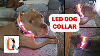 LED DOG COLLAR. Ricovo LED collar. Well made, bright LED safety collar