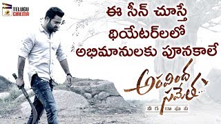 Jr NTR BEST ACTION SCENE from Aravindha Sametha Will Give Goosebumps to Fans | Pooja Hegde | Thaman