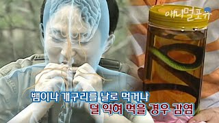 25년간 기생충이 내 몸속에??? 뱀\u0026개구리 불법 보신 음식을 함부로 먹었을 때 위험성ㄷㄷ;; l KBS 위기탈출 넘버원 100712 방송