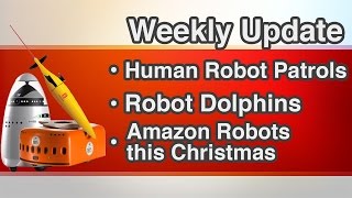 Human Robot Patrols | Robot Dolphins | Amazon Robots
