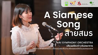 สายสมร | Thai Symphony Orchestra