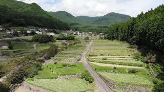 宍粟市一宮町山田の棚田