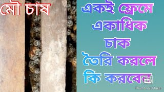 মৌ বাক্স /মৌ ফ্রেম/ বাক্সে একই ফ্রেমে একাধিক চাক করলে কি করবেন দেখুন।