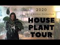 Houseplant Tour 2020 | Rare Plant Collection | Hoya Monstera Part 1