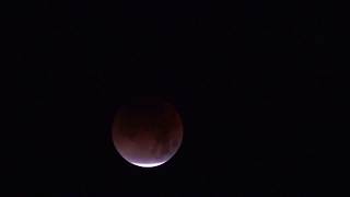 1-31-2018 Lunar Eclipse Time Lapse