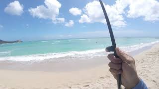 HAWAII FISHING OAHU 2020 mean action in WAIKIKI !