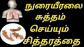 Chitharathai health benefits in tamil/சித்தரத்தை பயன்கள்/நுரையீரல் பலம் பெற