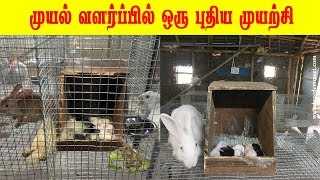 முயல் வளர்ப்பில் புதிய முறை | Rabbit Farming new Technique