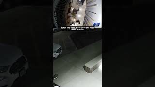 Omaha police need help identifying a prolific pack of package thieves