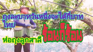 ห่อถุงลูกสาลีถุงละบาทมาชมคับวันหนึ่งจะได้กี่บาทไทย