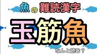 【難読漢字】魚にまつわる漢字クイズ！由来付き【全20問】