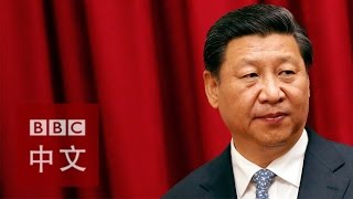 华盛顿分析师指习近平反腐运动中面临阻碍（附设中文字幕）