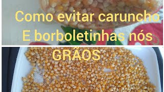 BICHINHOS NO MILHO DE PIPOCA😱|COMO EVITAR CARUNCHO E BORBOLETINHAS NOS GRÃOS 😱